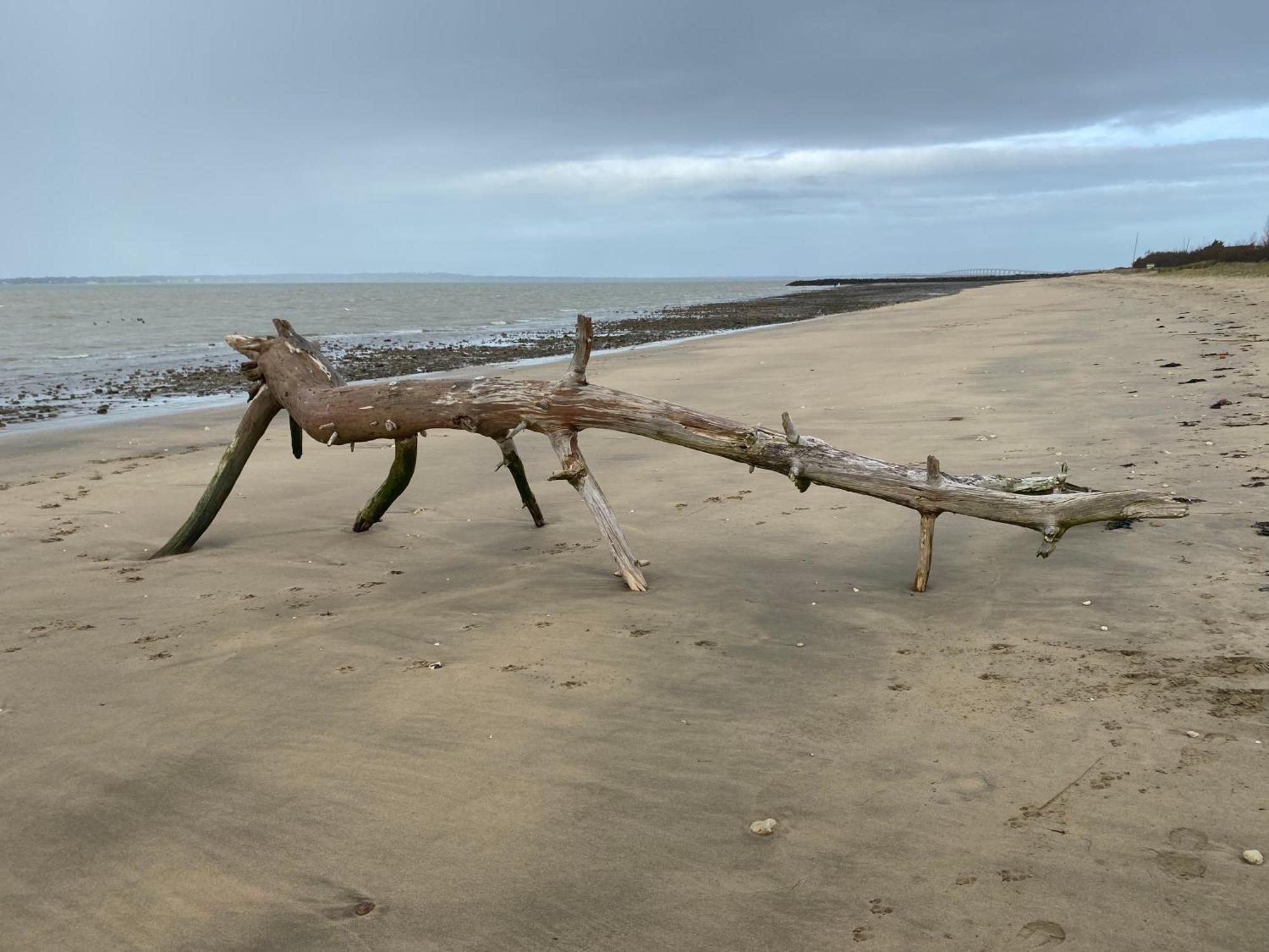 布尔塞弗朗Entre Plage Et Marais别墅 外观 照片
